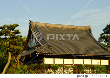 【鎌倉】夕焼け小焼けの本覚寺（ほんがくじ） 50687591