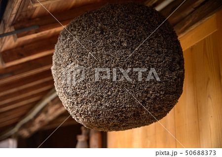 造り酒屋の杉玉イメージ 50688373