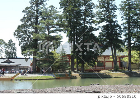 岩手県平泉町 毛越寺 岩手県平泉町 毛越寺 50688510