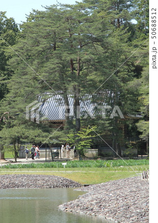 岩手県平泉町 毛越寺 岩手県平泉町 毛越寺 50688512