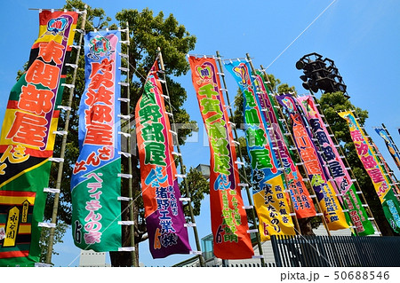 両国国技館（大相撲） 50688546