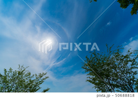 太陽と日暈(ひがさ) 50688818