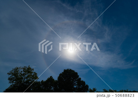 太陽と日暈(ひがさ) 50688823