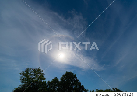 太陽と日暈(ひがさ) 50688824