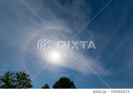 太陽と日暈(ひがさ) 50688825