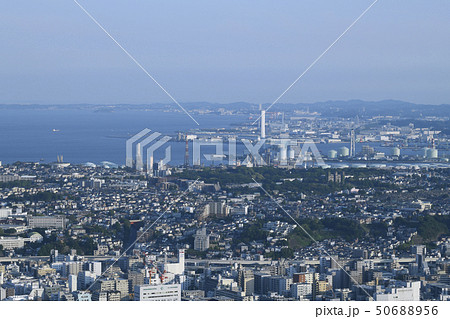 日本の横浜都市景観　根岸競馬場跡や根岸森林公園、横浜・八景島シーパラダイス方面などを望む 50688956