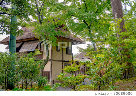 高台寺 時雨亭 50689006