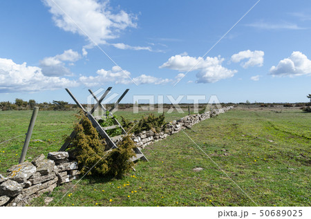 Wooden stile by a dry stone wall in spring season Wooden stile by a dry stone wall in spring season 50689025