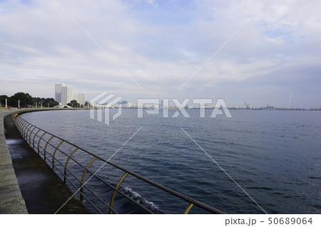 僅かな青空とパシフィコ横浜周辺の海の風景 僅かな青空とパシフィコ横浜周辺の海の風景 50689064