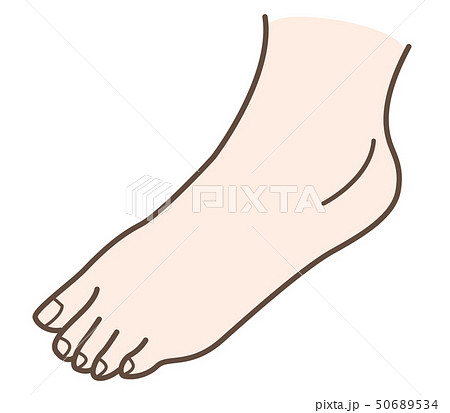 シンプルな足のイラストのイラスト素材 50689534 Pixta