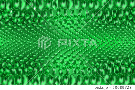 Vector snake green reptile skin texture background Vector snake green reptile skin texture background 50689728