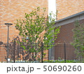 レンガ風の壁をバックにした木と柵 50690260
