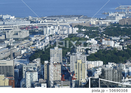日本の横浜都市景観 港の見える丘公園などを望む 日本の横浜都市景観 港の見える丘公園などを望む 50690308