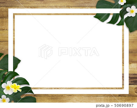 背景 海 夏 ビーチ モンステラ プルメリア フレーム 木目のイラスト素材