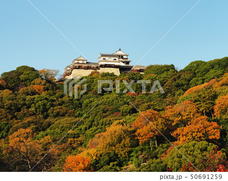 秋の松山城 50691259