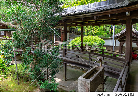 宸殿と霊殿を繋ぐ渡廊下 毘沙門堂 50691283