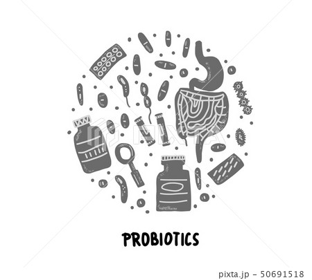 Probiotic vector concept illustration. Gut flora. 50691518