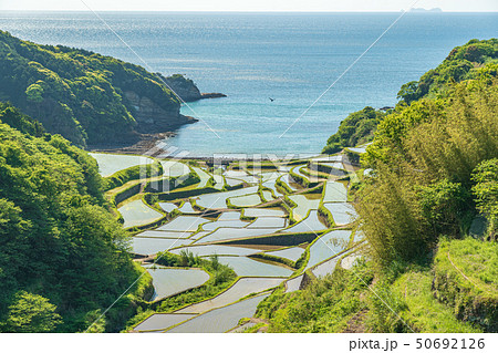 浜野浦の棚田 50692126