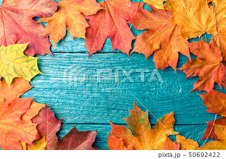 Photo of autumn leaves on blue table 50692422