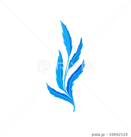 Five long blue leaves on a branch. Vector illustration on white background. 50692520