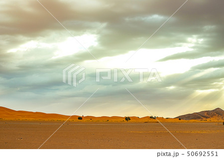 Hamada du Draa, moroccan stone desert in foreground, mountains in background, Morocco 50692551