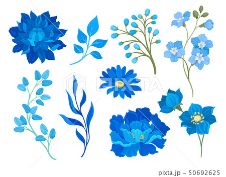 Collection of drawings of blue flowers and...のイラスト素材 [50692625] - PIXTA