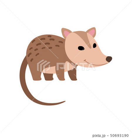 Cute Opossum Wild Animal Side View Vector Illustration Cute Opossum Wild Animal Side View Vector Illustration 50693190