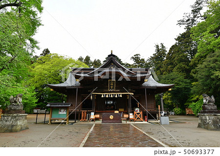 水戸八幡宮 50693377