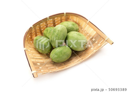 摘果メロン 50693389