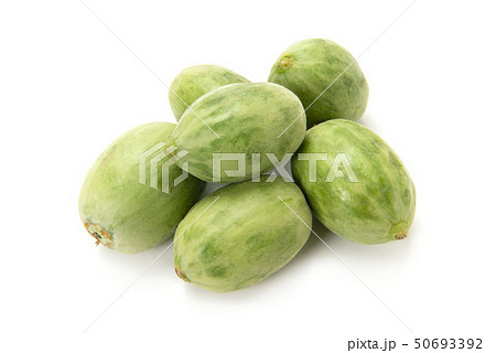 摘果メロン 50693392