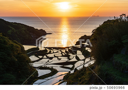 浜野浦の棚田 50693966