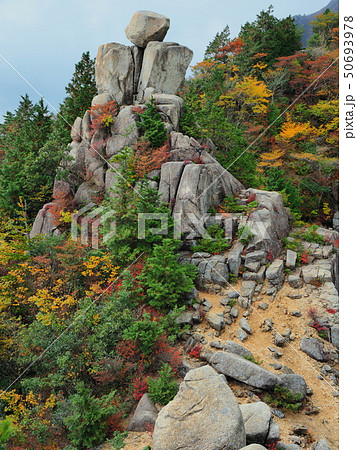 秋の御在所岳 50693978