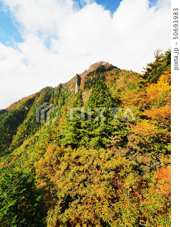 秋の御在所岳 50693983