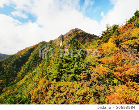 秋の御在所岳 50693984