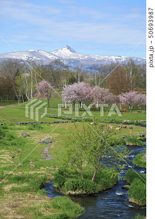 北海道の風景・春（北海道真狩村・真狩河川公園） 50693987