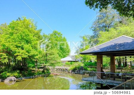 蚕糸の森公園 50694981