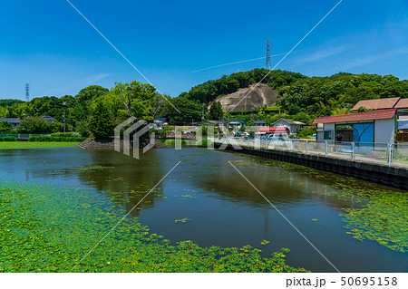 東の池 大磯町 東の池 大磯町 50695158