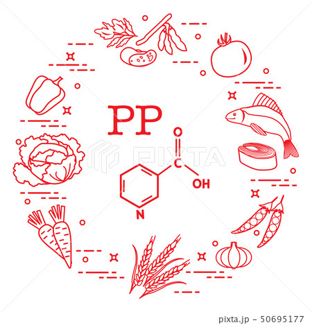 Foods rich in vitamin PP Foods rich in vitamin PP 50695177