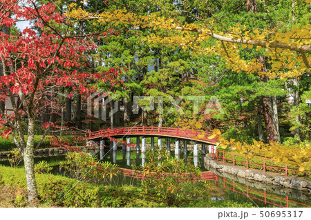 高野山 紅葉 高野山 紅葉 50695317