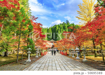 高野山　紅葉 50695389