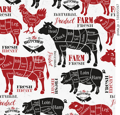 Meat cuts. Diagrams for butcher shop. Animal silhouette. Vector illustration. Seamless pattern. Meat cuts. Diagrams for butcher shop. Animal silhouette. Vector illustration. Seamless pattern. 50695597