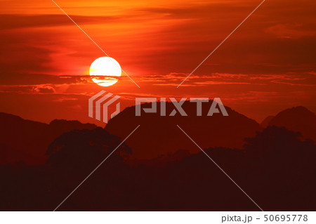 sunset on night red sky back over silhouette tree 50695778