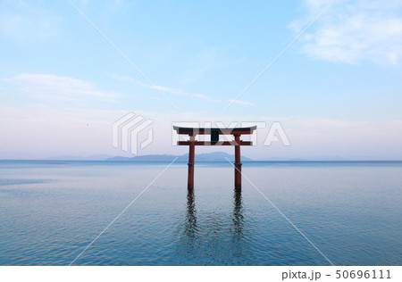 滋賀県　白髭神社の大鳥居 50696111