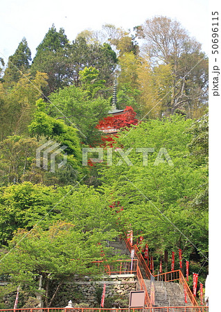 滋賀県　竹生島 50696115