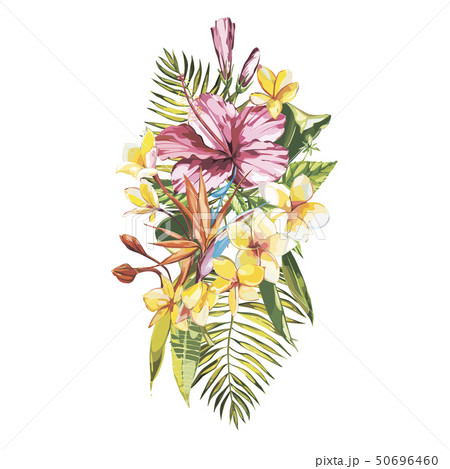 Banner, poster with plumeria flowers, jungle leaf. Beautiful floral tropical summer background. Banner, poster with plumeria flowers, jungle leaf. Beautiful floral tropical summer background. 50696460