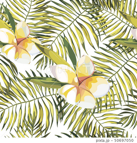 Elegance seamless pattern in vintage style with Plumeria flowers. Tropical illustrations. Elegance seamless pattern in vintage style with Plumeria flowers. Tropical illustrations. 50697050