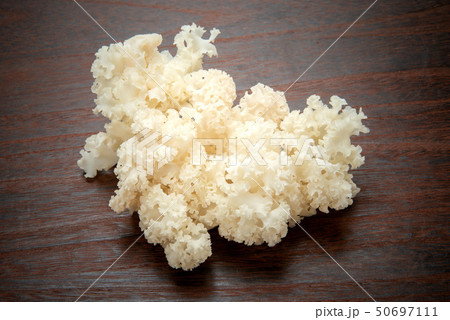 はなびらたけ 50697111