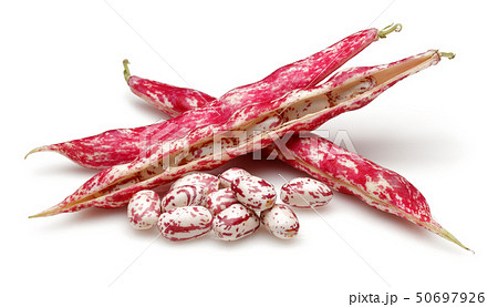 Fresh pinto beans isolated on white Fresh pinto beans isolated on white 50697926