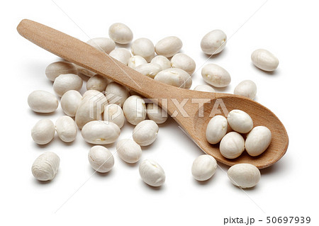 White haricot beans and wooden spoon isolated 50697939