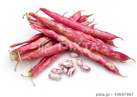 Fresh pinto beans isolated on white Fresh pinto beans isolated on white 50697967